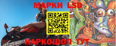 PSILOCYBIN Ирбит
