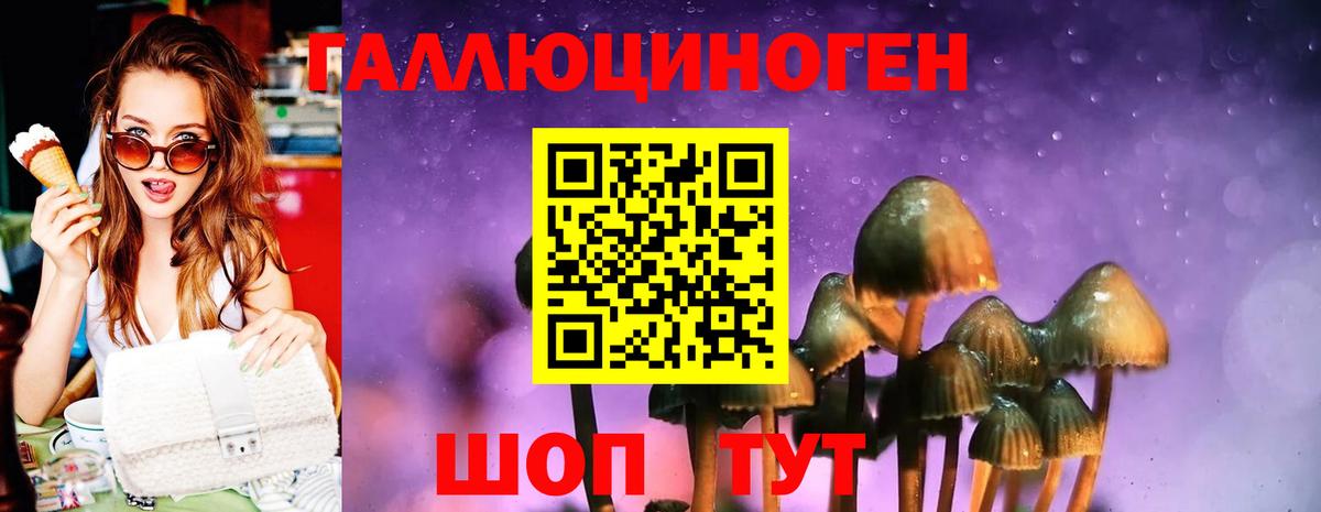 Псилоцибиновые грибы Psilocybine cubensis  Вход с VPN  Урус-Мартан 