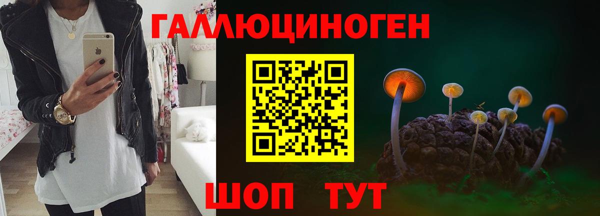 Галлюциногенные грибы Psilocybe Урус-Мартан